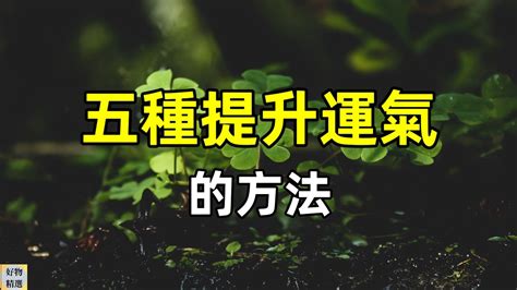 提升運氣方法